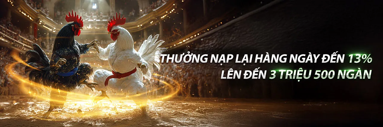 Cá cược thể thao sôi động tại hm88 website chính thức 2026